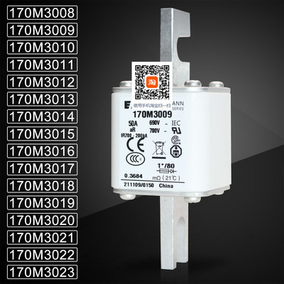 巴斯曼170M3018170M3021熔断器