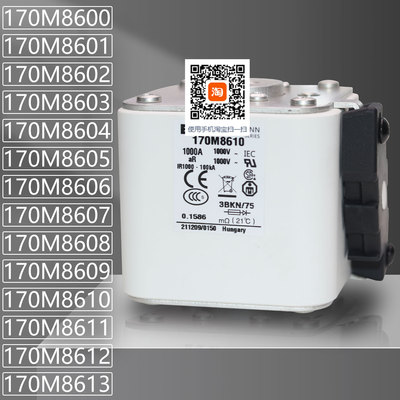 巴斯曼170M8602170M8604熔断器