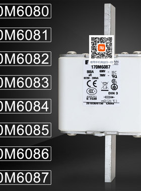 170M6080 6081 170M6082 6083 170M6084 6085 170M6086 6087保险