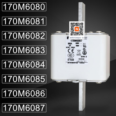 巴斯曼170M6081170M6087熔断器