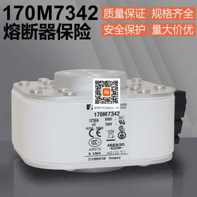 巴斯曼170M73421250A熔断器