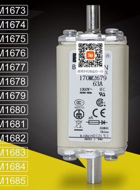 巴斯曼170M2679 2680 170M2681 2682 170M2683 2684 2685熔断器