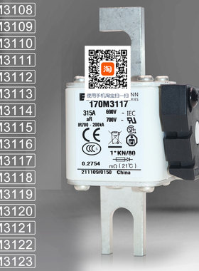 巴斯曼170M3116 3117 3118 3119 170M3120 3121 3122 3123熔断器