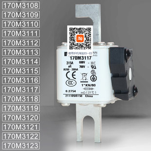 巴斯曼170M3116 3117 3118 3119 170M3120 3121 3122 3123熔断器