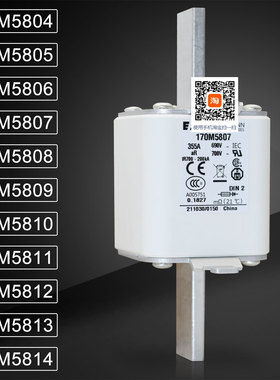 BUSSMANN 170M5804 170M5805 170M5806 170M5807 170M5808熔断器