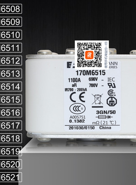 巴斯曼170M6515 6516 170M6517 6518 6519 170M6520 6521熔断器