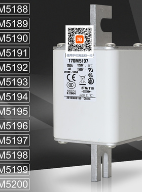BUSSMANN保险170M5195 5196 170M5197 5198 170M5199 5200熔断器