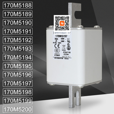 保险170M5196170M5198熔断器