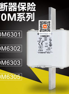 BUSSMANN保险170M6301 170M6302 170M6303 170M6305快速熔断器