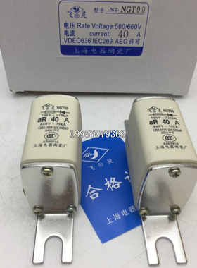 熔芯RS711B NGTOO NGT00 40A50A63A电压660V500V800V1000V
