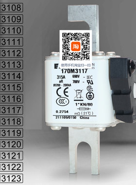 保险170M3108 3109 3110 3111 170M3112 3113 3114 3115熔断器