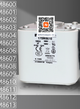 巴斯曼170M8607 8608 170M8609 8610 170M8611 8612 8613熔断器