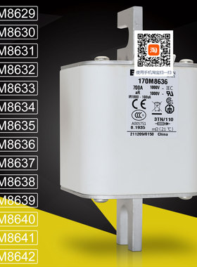 巴斯曼170M8636 8637 8638 170M8639 8640 170M8641 8642熔断器