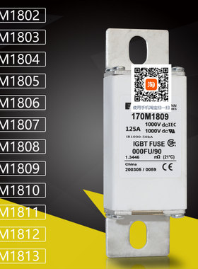 170M1808 1809 170M1810 1811 170M1812 1813直流保险熔断器保险