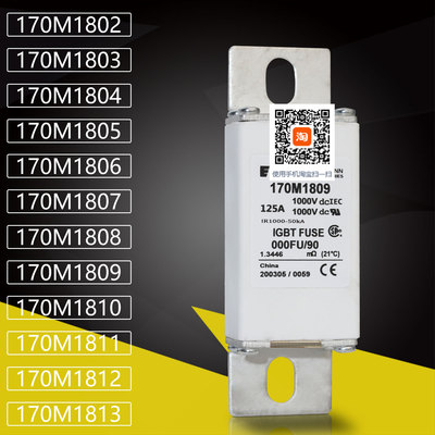 170M1810直流保险熔断器170M1811