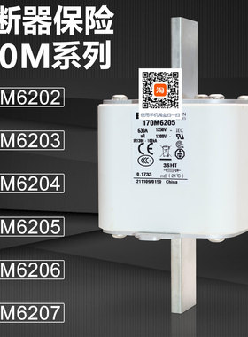 170M6200 6201 170M6202 6203熔断器170M6204 6205 170M6206 6207