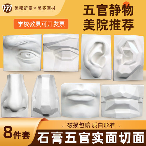 石膏像素描五官美术教具摆件画室用品五官石膏教具石膏像切面