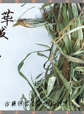毕荜拨拔草散装1斤500g田螺煮泥鳅粉干卤菜去腥提香农副产品包邮