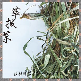 毕荜拨拔草散装1斤500g田螺煮泥鳅粉干卤菜去腥提香农副产品包邮