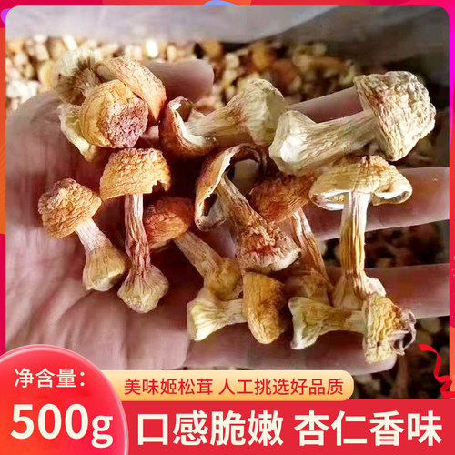 家的特级无硫蘑菇煲汤姬松茸干货