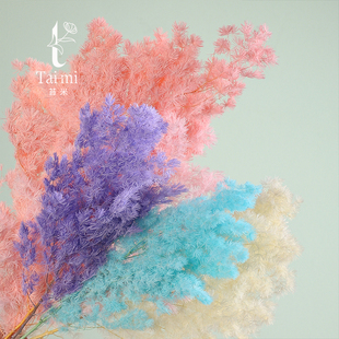 苔米 永生花蓬莱松仿真花干花网红鲜花束diy装饰花艺包装材料资材