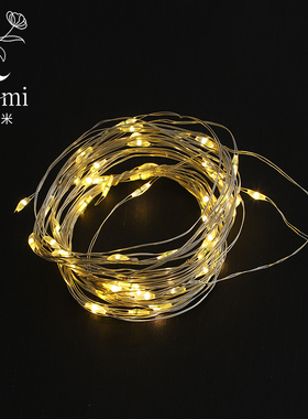 LED灯许愿灯1个装带开关创意绚丽灯祈福爱情花艺鲜花包装配饰品