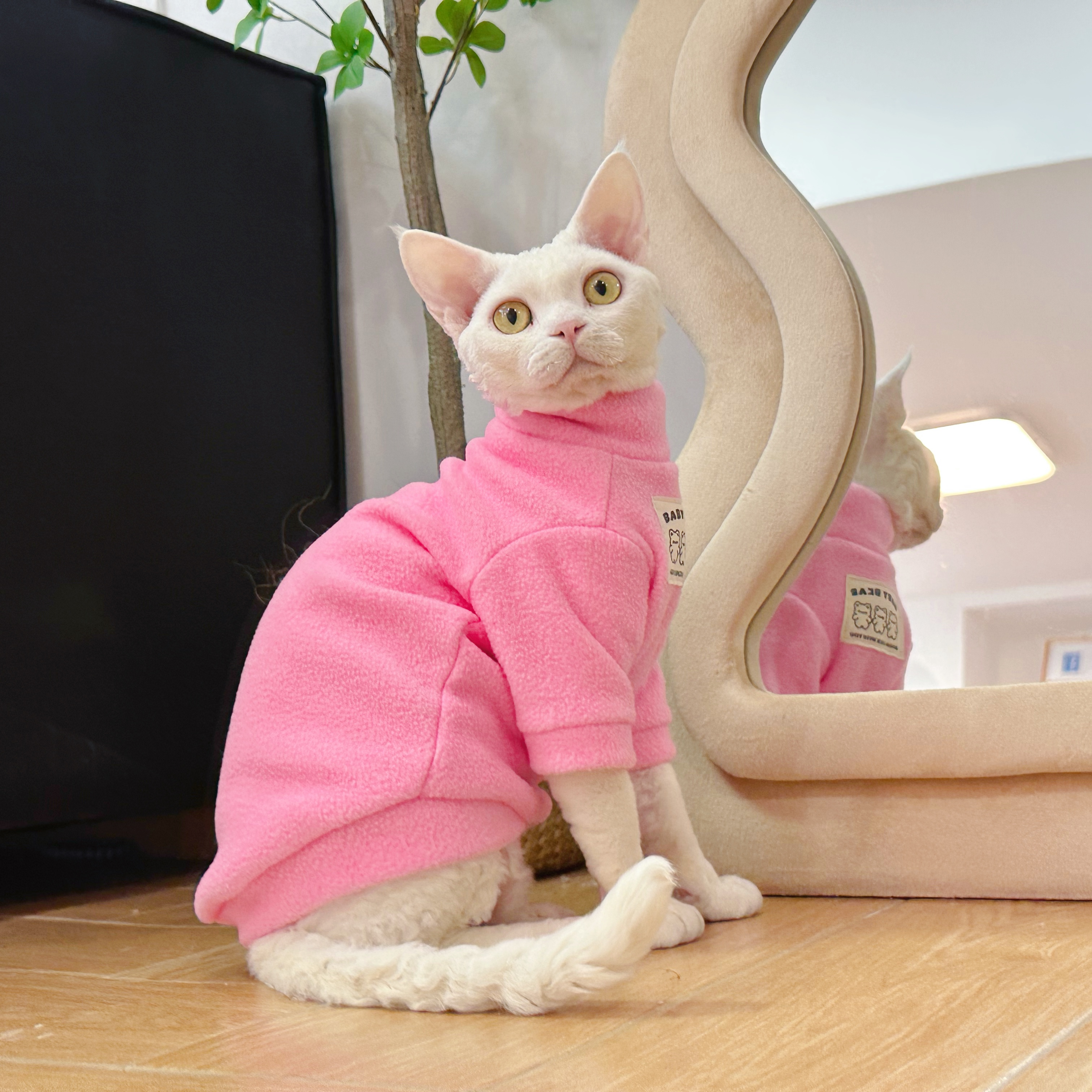 Y·H 粉嫩摇粒绒卫衣 德文猫斯芬克斯无毛猫衣服冬天保暖加厚永禾