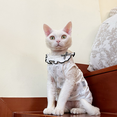 Y·H 「猪猪女孩」舒适轻薄无袖背心斯芬克斯无毛猫衣服德文 永禾