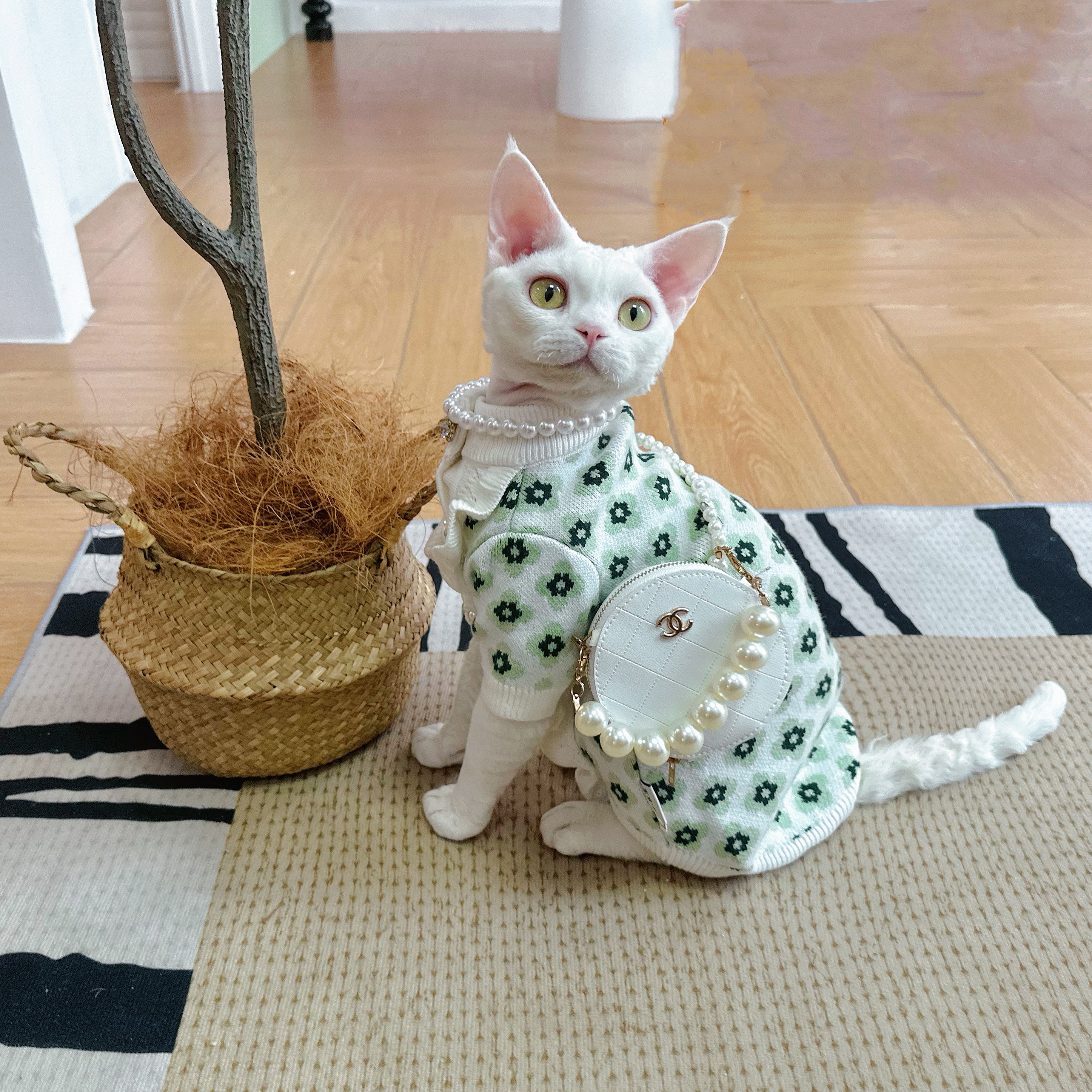 Y·H 法式前襟清新小花花毛衣 德文猫无毛猫衣服冬天保暖加厚永禾