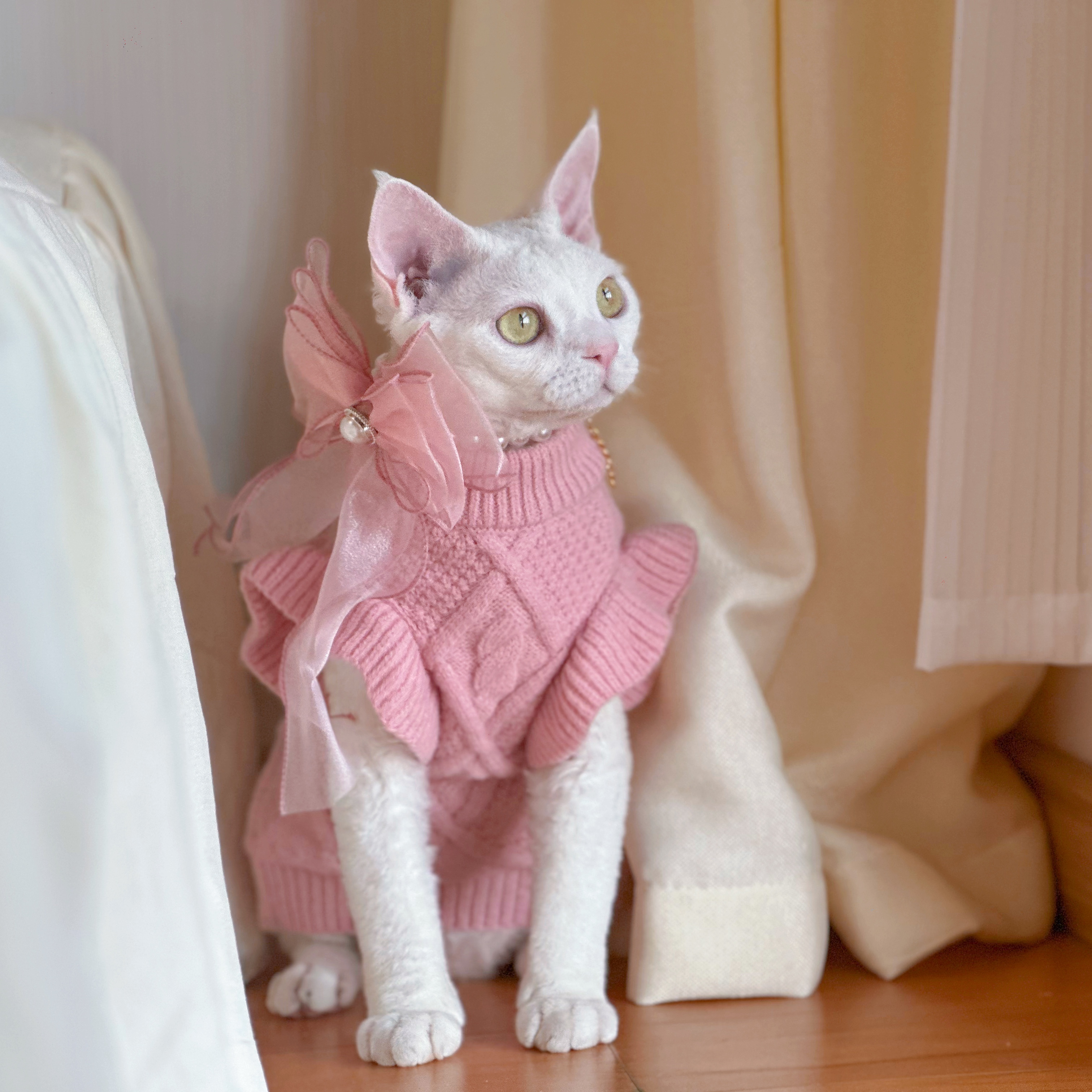 无毛猫加厚保暖粉色毛衣