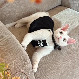 Y·H 偶像练习生！ 棉柔运动夏季吊带斯芬克斯无毛猫衣服德文永禾