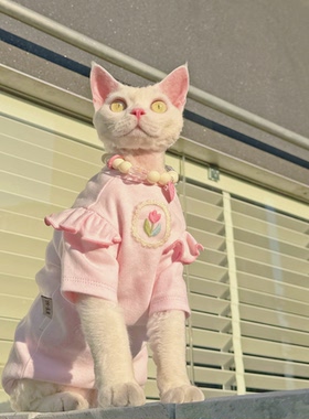 Y·H 夏末rosy小白花 淡颜舒适婴儿棉柔 斯芬克斯无毛猫衣服德文