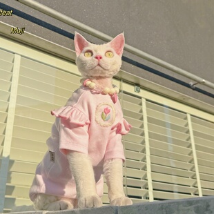 Y·H 夏末rosy小白花 淡颜舒适婴儿棉柔 斯芬克斯无毛猫衣服德文