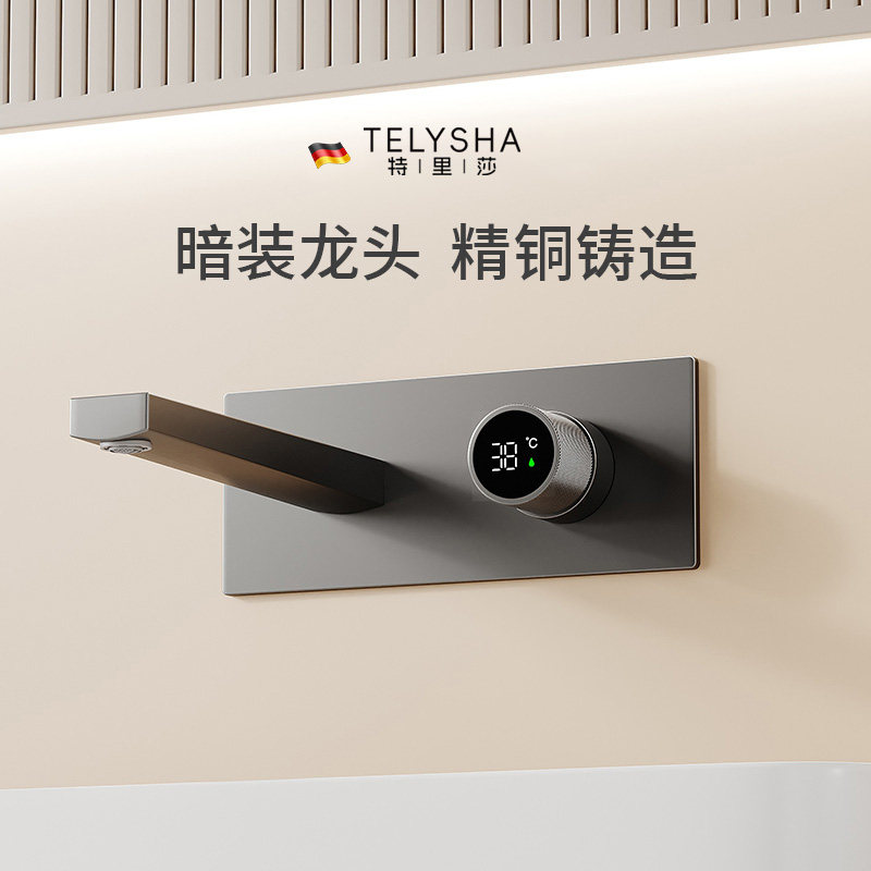 德国特里莎暗装洗脸盆水龙头