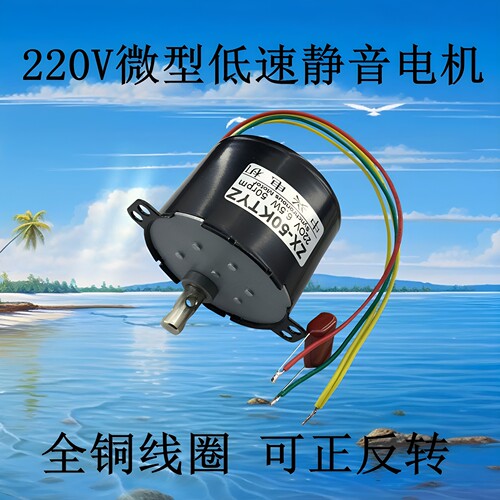 50KTYZ微型慢速正反转静音小电机