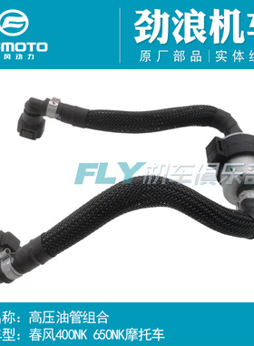 CFMOTO春风原厂摩托车配件400NK650NKMT高压油管组合汽油滤芯汽滤