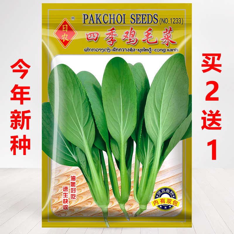 买2送1/今年新种子鸡毛菜种子