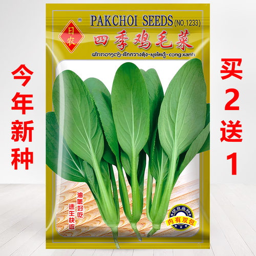 买2送1/今年新种子鸡毛菜种子