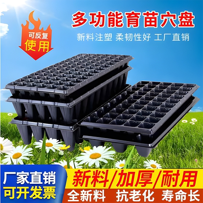 育苗穴盘蔬菜育苗盘加厚