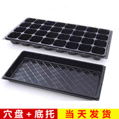 番茄育苗盆穴盘塑料草莓种植神器蔬菜育种扦插盒农用托盘盆一整套