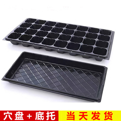 番茄育苗盆穴盘塑料草莓种植神器蔬菜育种扦插盒农用托盘盆一整套