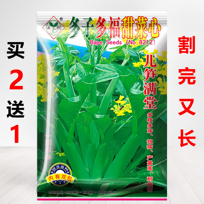 多子多福甜菜心种子多心白菜苔种籽连州青菜籽农家高产蔬菜种孑籽