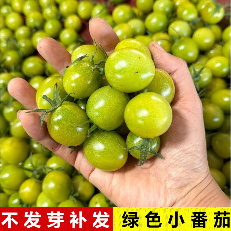 买2送1清脆甜美绿番茄种子