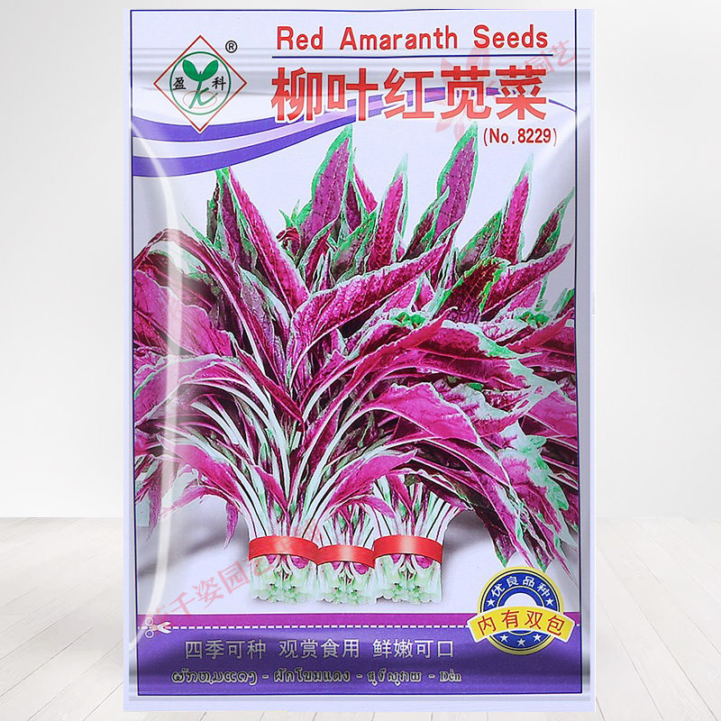 老品种野生一点红大叶圆叶鲜嫩花尖叶柳叶苋菜种子大全三色红菜籽