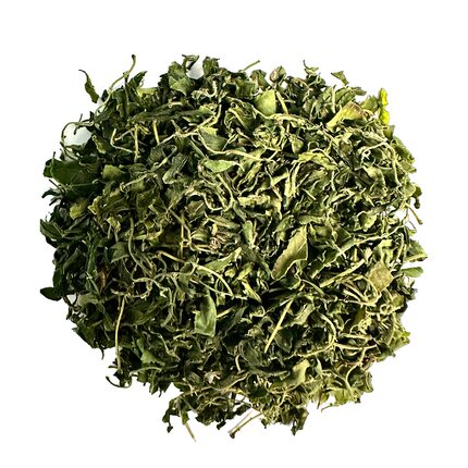 酸枣叶茶手工炒制新茶正宗头采茶叶清香型