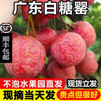 荔枝新鲜5斤广东高州白糖罂现摘现发笑妃子桂水味果当季现货包邮m