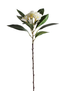 可爱家家居仿真花鸡蛋花