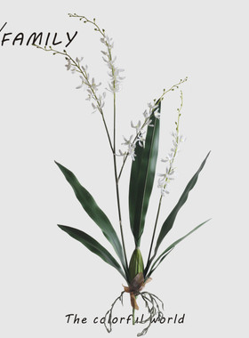 可爱家家居仿真花蜘蛛兰