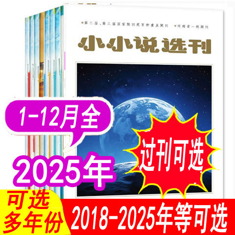 小小说选刊杂志2025年2024年可选