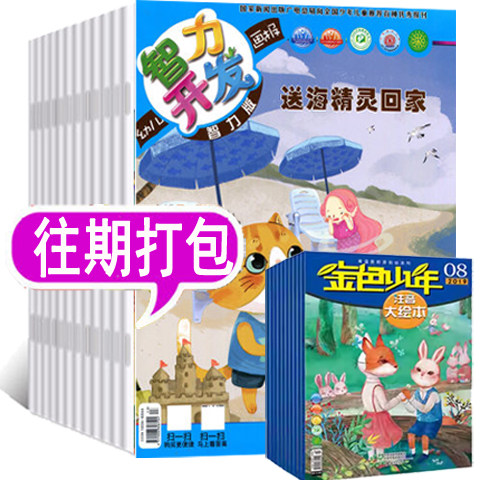 幼儿智力开发画报杂志往年清仓